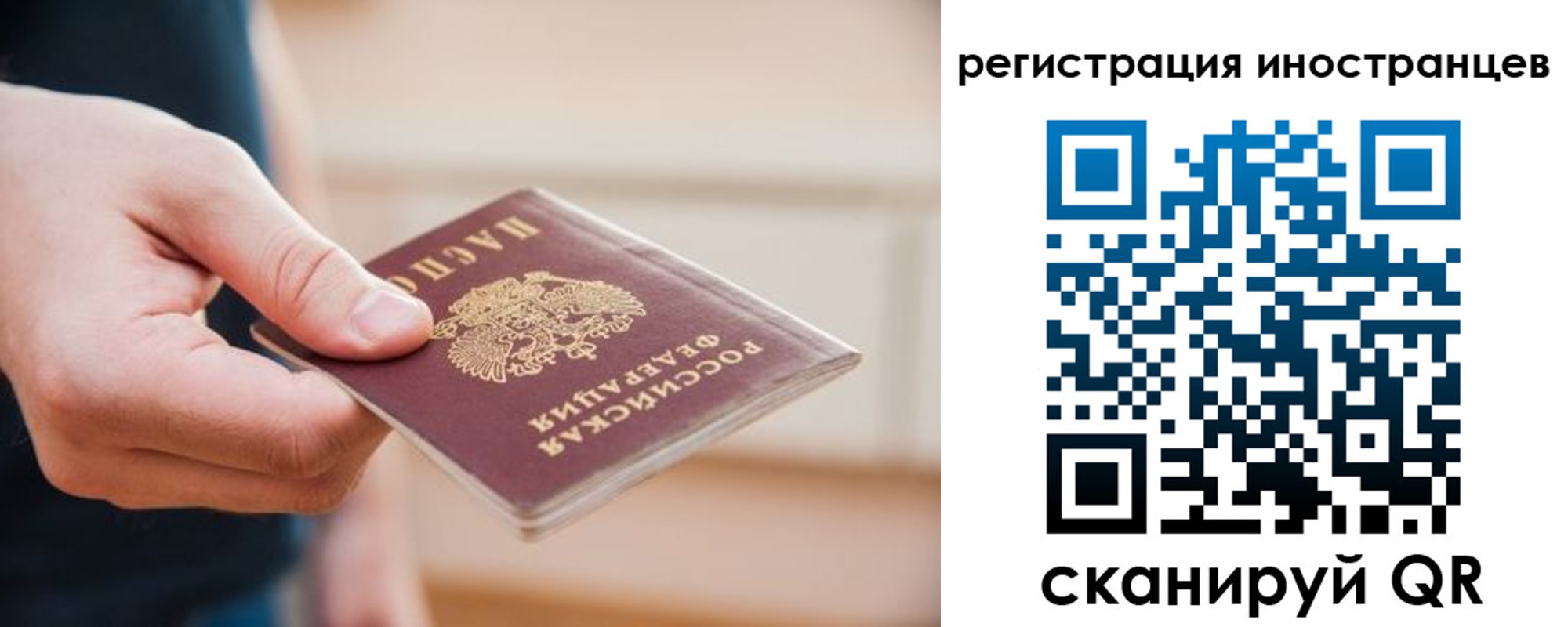 прописка гарантия в Трубчевске